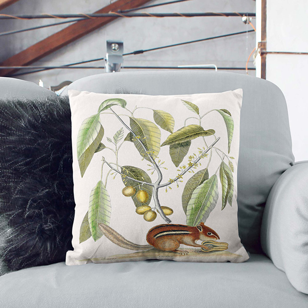 Ground Squirrel by Mark Catesby Cushion with Filling