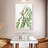 Honey Locust Gleditsia Triacanthos-1014437159