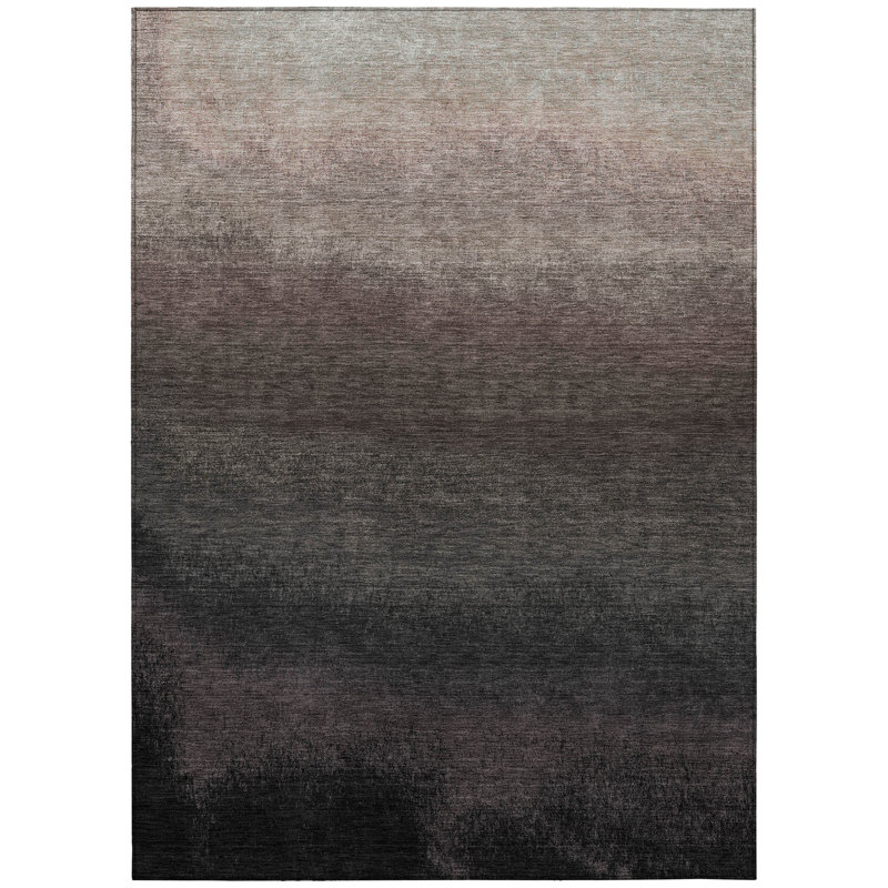 Machine Washable Indoor/Outdoor Xhevrie Black Rug, Rectangle 9' x 12'