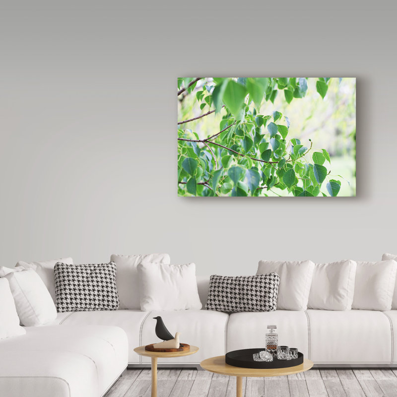 Modern & Contemporary, 12" H x 19" W x 2" D