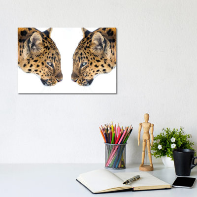 Mirrored by David Gardiner - Wrapped Canvas Print