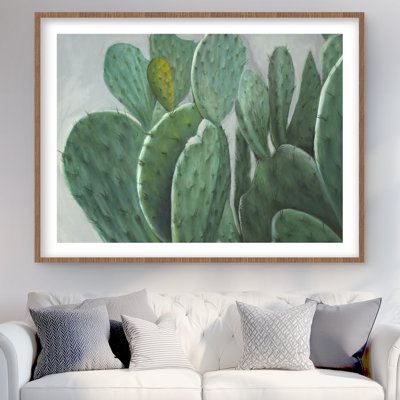 Paddle cactus - exotique botanique