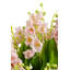 Cora RealTouch Muguet Arrangement-1025018373