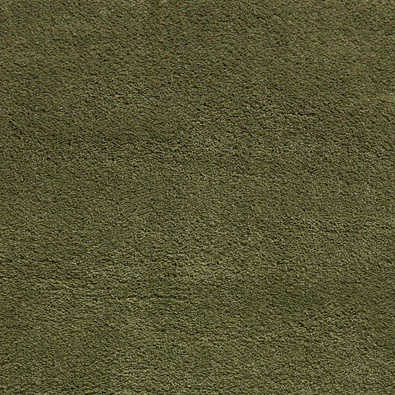 Porretto area rug Machine Woven Rectangle Olive, Rectangle 200 x 290cm
