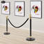 Poteaux de poteau, barrières de contrôle des foules, poteau de poteau avec dessus de boule
