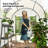15 Ft W x 15 Ft D Greenhouse