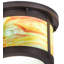 Featherste 2 - Light Flush Mount