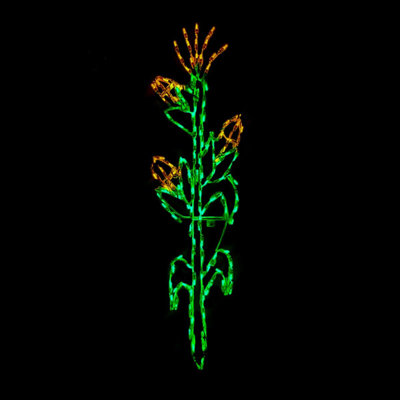 Cornstalk LED Display