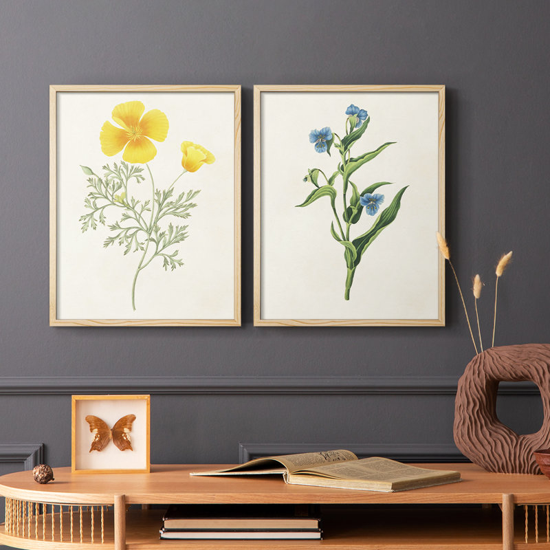 «Flowers of the Seasons», reproduction encadrée de qualité supérieure - prête à être accrochée - aucun clou requis - aucun clou requis