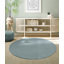 Machine Woven Blue Indoor Rug