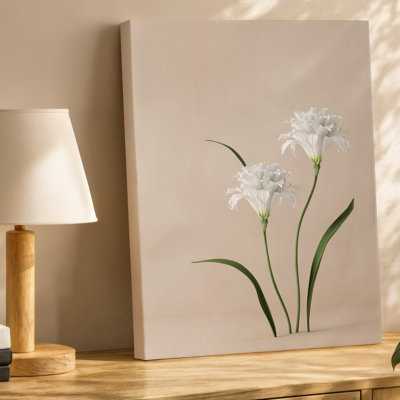 Toile, composition minimaliste mettant en vedette deux délicates fleurs blanches avec des pétales complexes sur fond beige doux