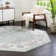 Hilley Oriental Indoor Rug