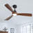 Karlena 52'' Ceiling Fan with LED Lights and Remote Control-1838717465