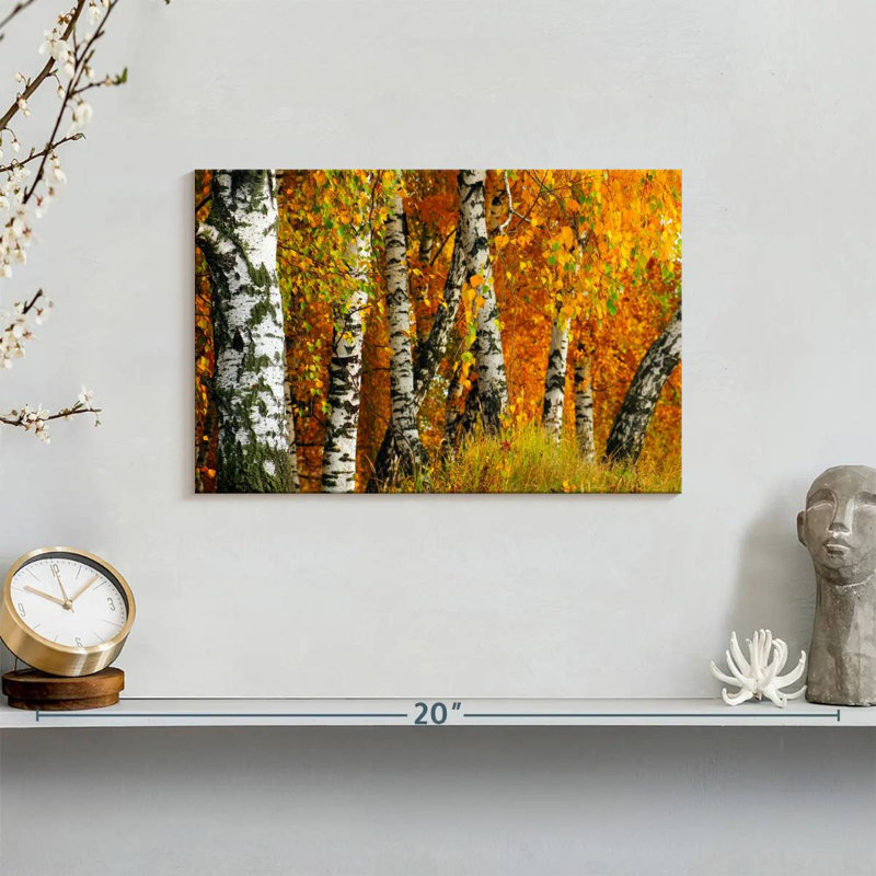 Harnek White Birch Tree Trunk, 8" H x 12" W