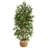 64'' Faux Bamboo Tree in Planter