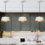 Luminaire suspendu tambour 1 lumière Cozine-492188165