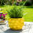 Textured Stoneware Ceramic Planter with Sculpted Bulbous Design and Integrated Drainage Hole for Indoor Outdoor Display-269104231-268494358