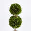 Double Sphere Topiary Drop-In 20"