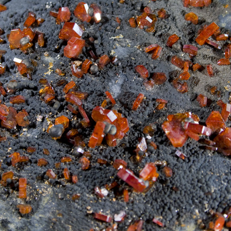 Grande vanadinite sur grille de goethite noire