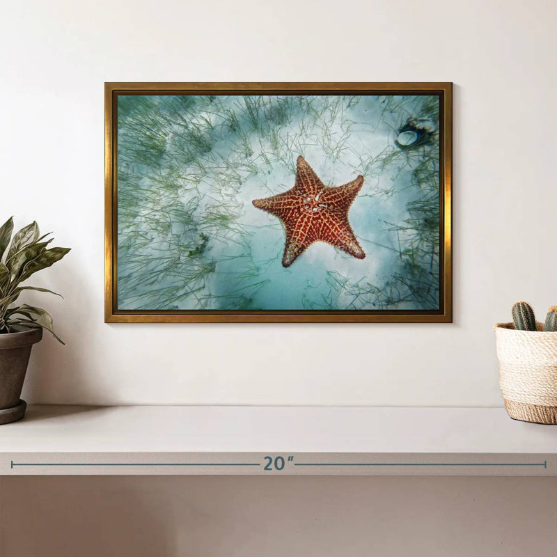 Étoile de mer peu profonde, Cadre flottant doré, 13 po x 9 po