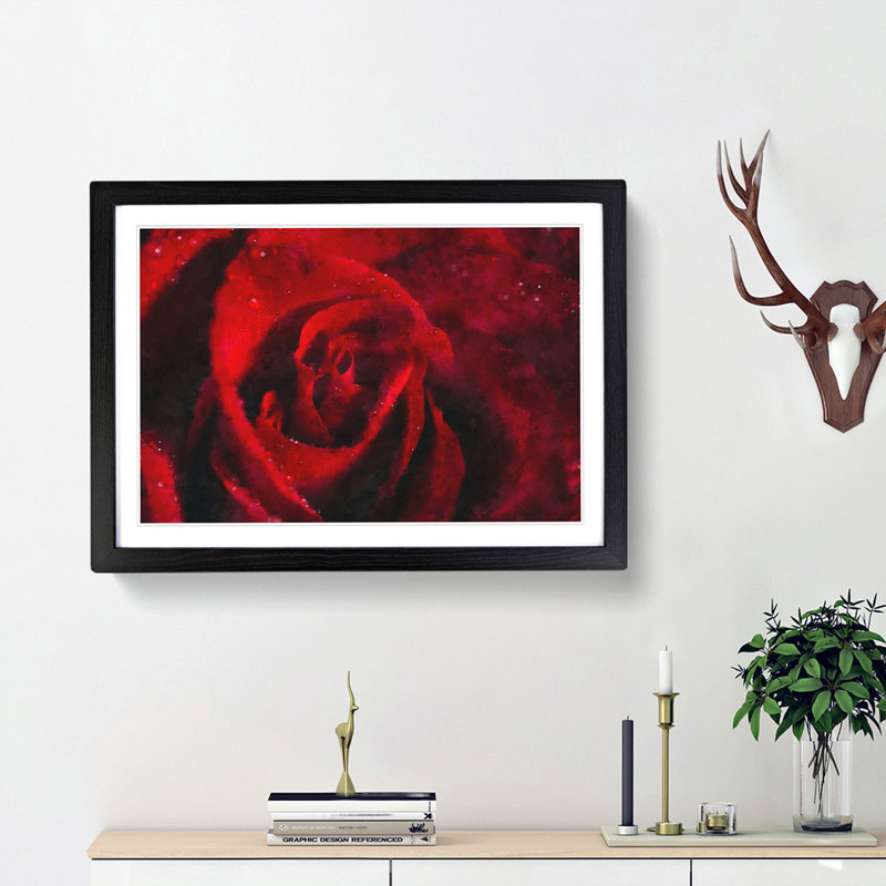 Drops upon a Red Rose - Picture Frame Graphic Art Print, 24cm H x 33cm W x 2cm D, Black Framed