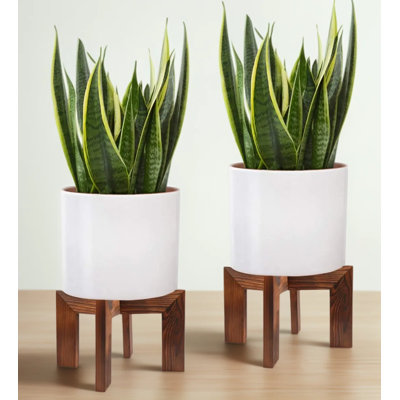 Mid Century Modern Plant Stand Set Of 2, Rattan And Wood Planter Stand With Minimalist Design For Indoor Plants, Sturdy Flower Pot Holder Fits 5 To 15 Inch Pots