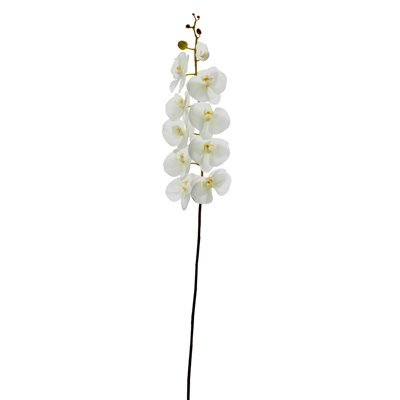 Vaporisateur d'orchidée artificielle