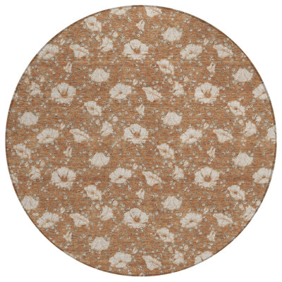 Machine Washable Indoor/Outdoor Chantille ACN2792 Floral Rug