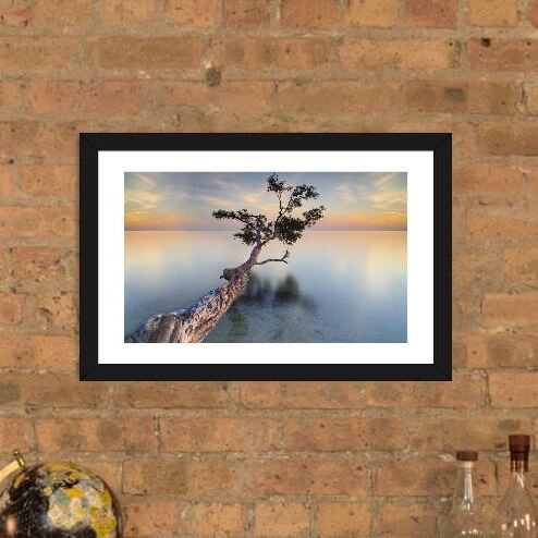 « Water Tree XIV », reproduction de photo, H 16 po x l 24 po x P 1 po, Papier encadré noir