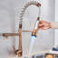 Belfry Kitchen Quon Pull Down Kitchen Faucet