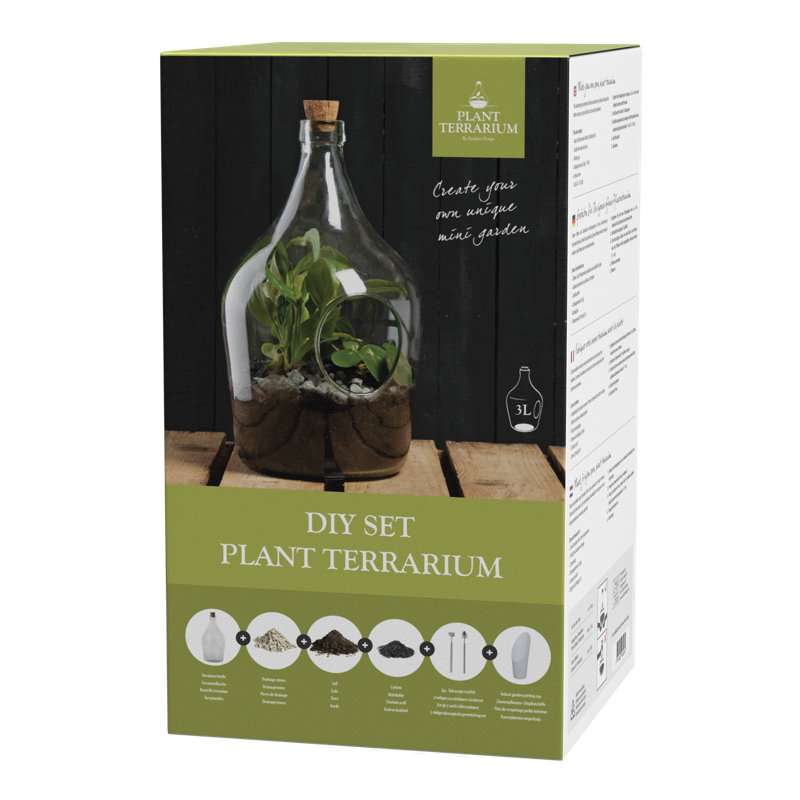 Diy Set Terrarium Bottle 3 Litre
