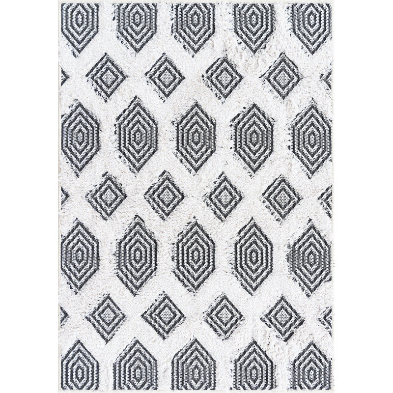Mishti Cotton Moroccan Indoor Rug, Rectangle 2'3" x 3'
