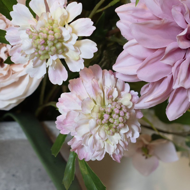 Anastasija Arrangement, Pink