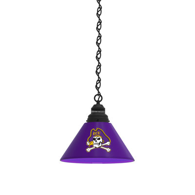Mini-luminaire suspendu 1 lumière NCAA
