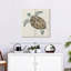 Tortue de mer en lin Brampt I-109124789