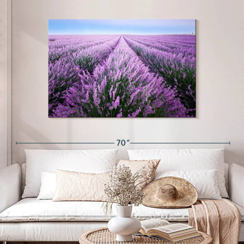 Champ de lavande d'Alvord en Provence, H 32 po x l 48 po