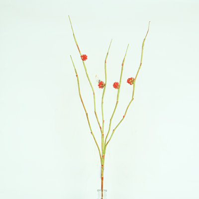 Branche de rameau artificiel de 26 po pour remplissage de vase, long bouquet en vrac de ferme pour décoration de table de bureau à domicile