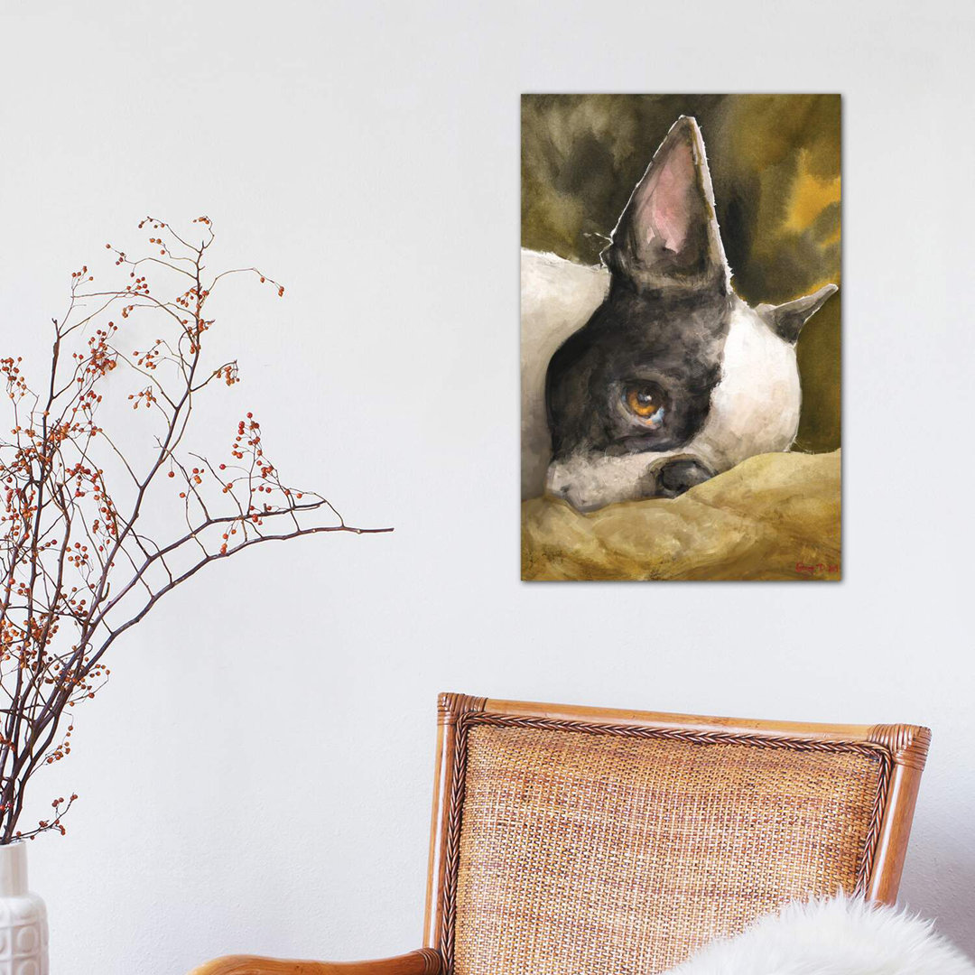 Boston Terrier With Background by George Dyachenko - Wrapped Canvas Painting