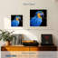 Ara bleu néotropical Brampt-109118697