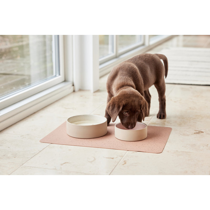 Sia Dog Bowl - Small - 380Ml, Rose, Medium (3.46 cups/ 27.73 fluid oz)