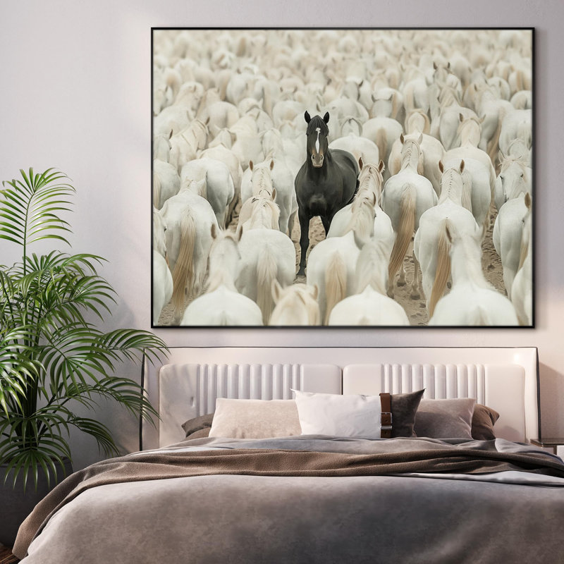 Très grand cheval noir unique au milieu d'un grand troupeau blanc, illustrations d'art encadré très grand (assemblage de cadre requis)