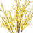 6' Forsythia Tree