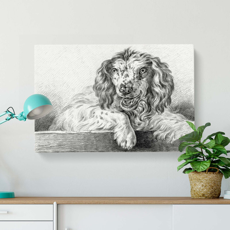 Springer Spaniel Dog by Jean Bernard - Wrapped Canvas Drawing Print, 50cm H x 76cm W x 3cm D