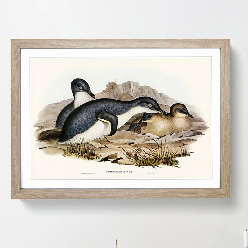 Little Penguins by Elizabeth Gould - Picture Frame Painting Print, 27cm H x 36cm W x 2cm D, Oak Framed