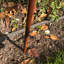 Animals Metal Garden Statue