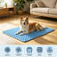 Tapis de refroidissement pour chien 19,7 x 15,7 po-131214191