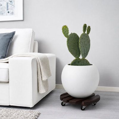 13.8" Acacia Round Plant Caddy (Pack of 2)