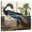 Brampt Louisiana Heron-109153943