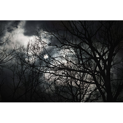 " Halloween Abstract Scenery " by Pashabo