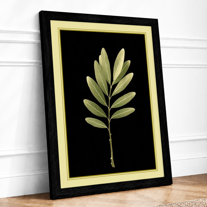 Specimen Botanical - Print, Black, A3 - 42.0 x 29.7 cm